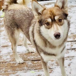 Meet your Posher, Stacie